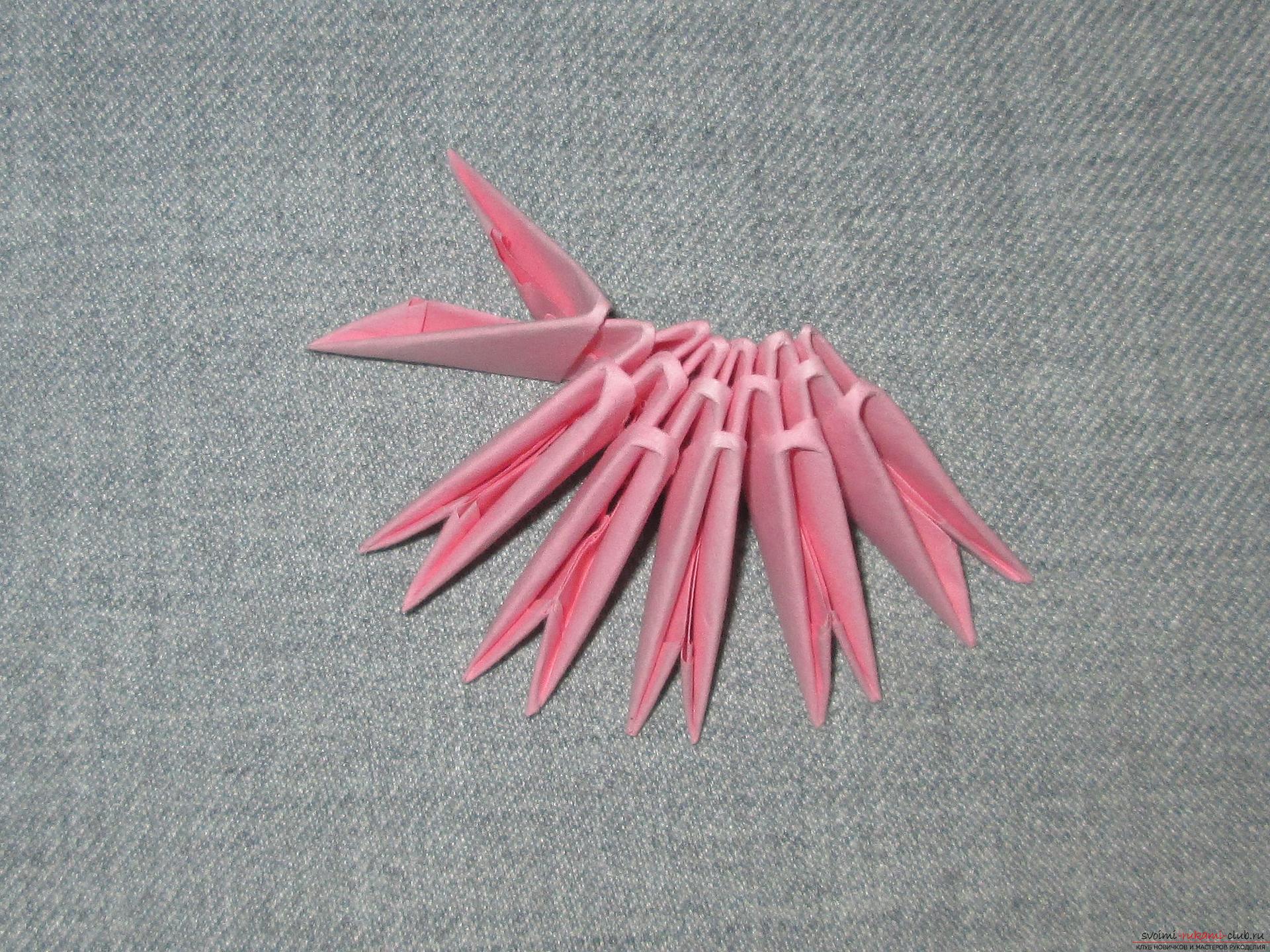 Мастер-класс с подробным описанием и фото научит делать модульное оригами птицы.. Фото №5